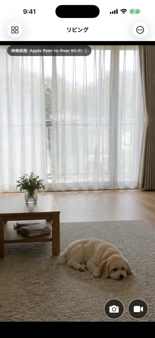 ちかみるのライブ映像画面。リビングの犬の様子と写真・録画ボタン